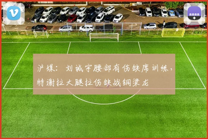 沪媒：刘诚宇腰部有伤缺席训练，特谢拉大腿拉伤缺战铜梁龙